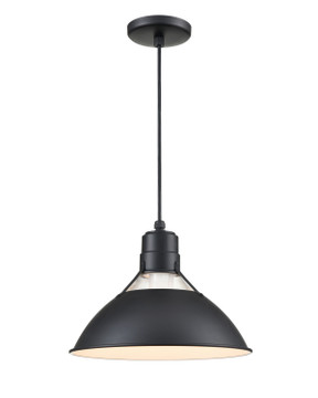 Pendants Metal Shade by Millennium ( 59 | RGCC13-SB R Series ) 