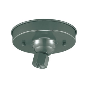 Specialty Items Fixture Accents/Parts by Millennium ( 59 | RSCKSS-SG R Series ) 
