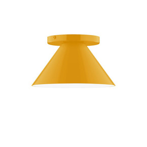 Flush Mounts Glass Down by Montclair Light Works ( 518 | FMD421-21-L10 Pinnacle ) 