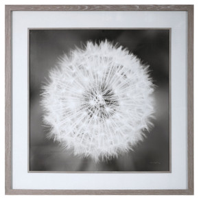 Home Accents Prints/Photography by Uttermost ( 52 | 33711 Dandelion Seedhead ) 