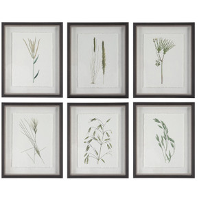 Home Accents Prints/Photography by Uttermost ( 52 | 41459 Forest Finds ) 