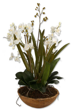 Home Accents Flowers/Greenery by Uttermost ( 52 | 60039 Moth Orchid ) 