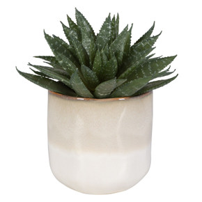 Home Accents Flowers/Greenery by Uttermost ( 52 | 60213 Doha ) 