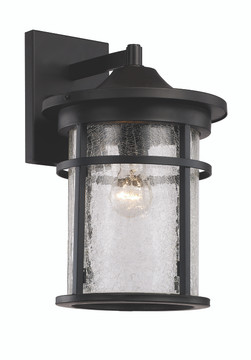 Exterior Wall Mount by Trans Globe Imports ( 110 | 40382 BK Avalon ) 