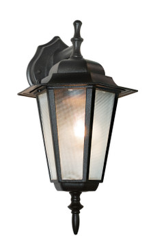 Exterior Wall Mount by Trans Globe Imports ( 110 | 4056 BK Alexander ) 