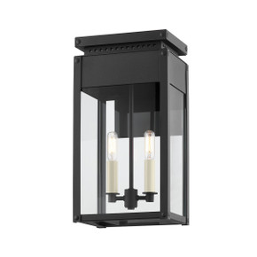 Exterior Wall Mount by Troy Lighting ( 67 | B8517-TBK Braydan ) 