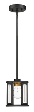 Mini Pendants Open Frame by Nuvo Lighting ( 72 | 60-6412 Payne ) 