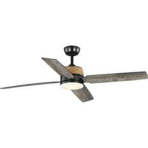 Fans Damp Location by Progress Lighting ( 54 | P250097-31M-30 Shaffer Ii ) 