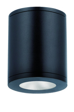 Exterior Ceiling Mount by W.A.C. Lighting ( 34 | DS-CD0622-N30-BK Tube Arch ) 