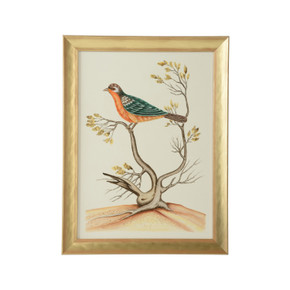 Home Accents Prints/Photography by Wildwood ( 460 | 387216 Bill Cain ) 