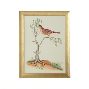 Home Accents Prints/Photography by Wildwood ( 460 | 387218 Bill Cain ) 