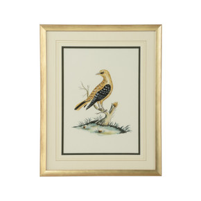 Home Accents Prints/Photography by Wildwood ( 460 | 387221 Bill Cain ) 