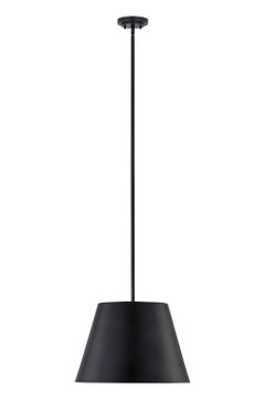 Pendants Metal Shade by Z-Lite ( 224 | 2307-18MB Lilly ) 