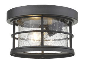 Exterior Ceiling Mount by Z-Lite ( 224 | 555F-BK Exterior Additions ) 