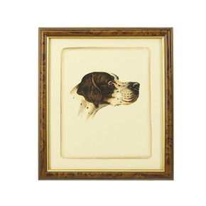 Home Accents Prints/Photography by Wildwood ( 460 | 380359 Chelsea House Misc ) 