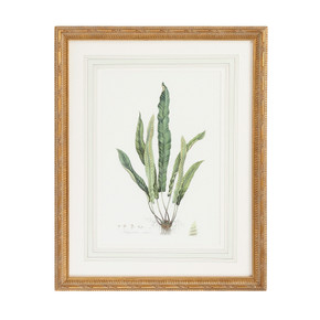 Home Accents Prints/Photography by Wildwood ( 460 | 380372 Chelsea House Misc ) 