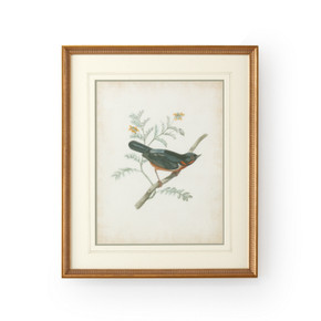 Home Accents Prints/Photography by Wildwood ( 460 | 386344 Chelsea House Misc ) 