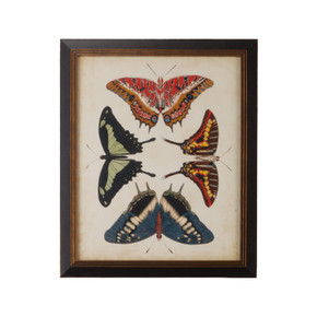 Home Accents Prints/Photography by Wildwood ( 460 | 386516 Chelsea House Misc ) 