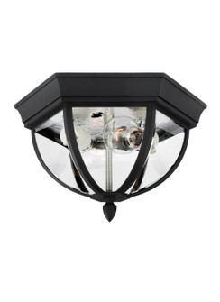 Exterior Ceiling Mount by Generation Lighting. ( 1 | 78136-12 Wynfield ) 