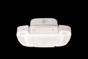 Exterior Ceiling Mount by Westgate ( 418 | CDX-55W-40K-WH ) 