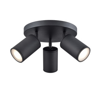 Exterior Ceiling Mount by DVI Lighting ( 214 | DVP45774MFO+BK Pond Inlet Outdoor ) 