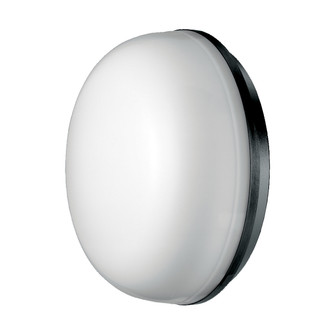 Exterior Sconces by Eurofase ( 40 | 23923-027 Optima ) 