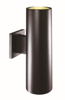 Exterior Wall Mount by Trans Globe Imports ( 110 | 51310 BK ) 