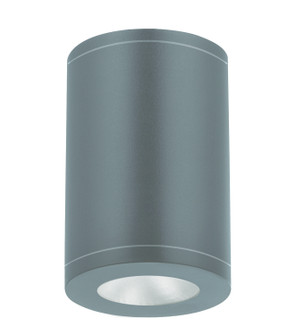 Exterior Ceiling Mount by W.A.C. Lighting ( 34 | DS-CD0622-S35-GH Tube Arch ) 