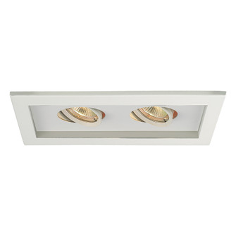 Recessed Misc by W.A.C. Lighting ( 34 | MT-216-WT/WT Mr16 Multiples ) 