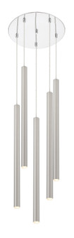 Mini Chandeliers Multi-Port/Cascade by Z-Lite ( 224 | 917MP24-BN-LED-5RCH Forest ) 