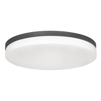 Flush Mounts Slimline/Low Profile by AFX Lighting ( 162 | OSCF19LAJD1BK Oscar ) 