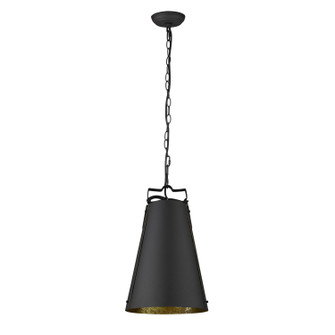 Pendants Metal Shade by Acclaim Lighting ( 106 | TP10035BK Faza ) 
