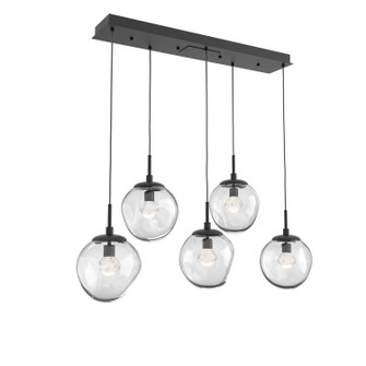   by Hammerton Studio ( 404 | PLB0066-05-MB-ZC-C01-L1 Aster ) 