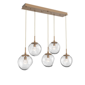   by Hammerton Studio ( 404 | PLB0066-05-NB-ZC-C01-L1 Aster ) 