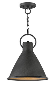 Pendants Metal Shade by Hinkley ( 13 | 3557DZ Winnie ) 