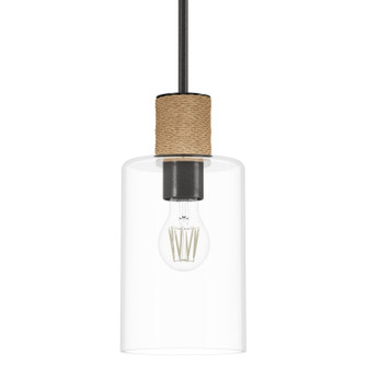 Mini Pendants Glass Down by Hunter ( 47 | 13110 Vanning ) 