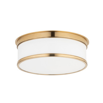 Flush Mounts Bowl Style by Hudson Valley ( 70 | 712-AGB Geneva ) 