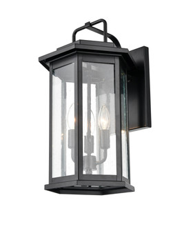 Exterior Wall Mount by Millennium ( 59 | 2685-PBK Ellis ) 