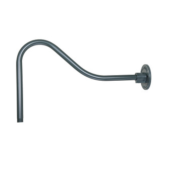 Specialty Items Fixture Accents/Parts by Millennium ( 59 | RGN23-SG R Series ) 
