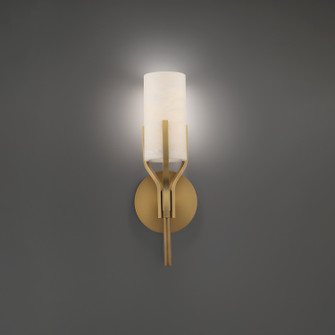 Sconces Single Glass by Modern Forms ( 281 | WS-40221-AB Firenze ) 