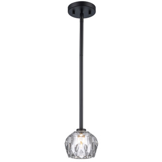 Mini Pendants Glass Down by Trans Globe Imports ( 110 | 11661 BK Sequoia ) 