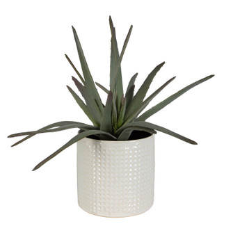 Home Accents Flowers/Greenery by Uttermost ( 52 | 60210 Taos ) 