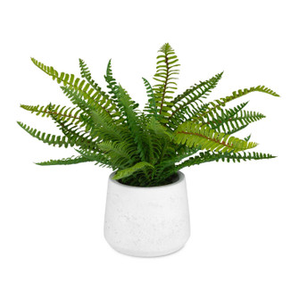 Home Accents Flowers/Greenery by Uttermost ( 52 | 60238 Boston Fern ) 