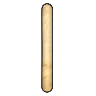 Sconces Pocket by Trans Globe Imports ( 110 | LED-22656 BK Minerva ) 