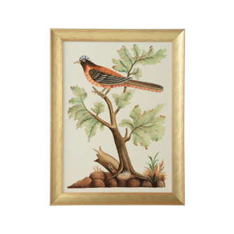 Home Accents Prints/Photography by Wildwood ( 460 | 387220 Bill Cain ) 