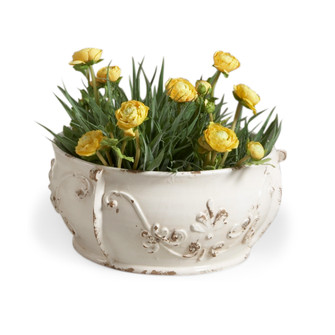 Home Accents Flowers/Greenery by Wildwood ( 460 | 380765 Chelsea House Misc ) 