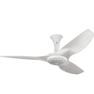 Fans Ceiling Fans by Big Ass Fans ( 466 | MK-HK4-042400A259F772G10S2 Haiku ) 