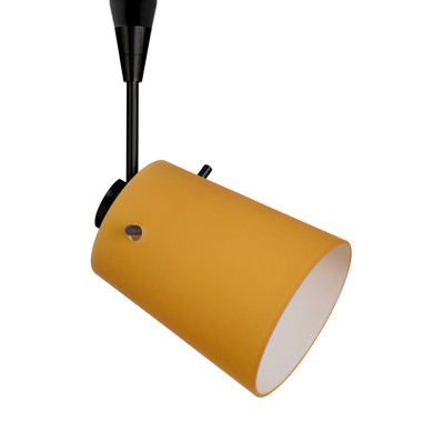 Multi-Systems Low Voltage Heads by Besa ( 74 | RSP-5118AM-LED-BK Besa Tammi Spotlight ) 