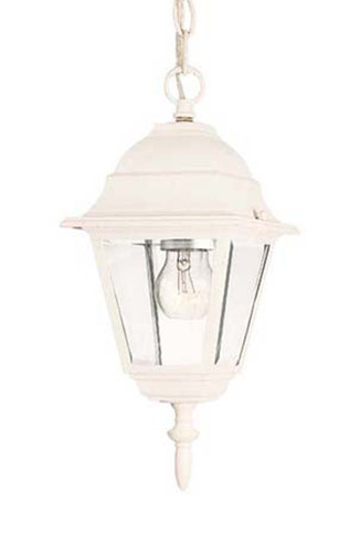 Exterior Hanging by Acclaim Lighting ( 106 | 4006TW Builders` Choice ) 