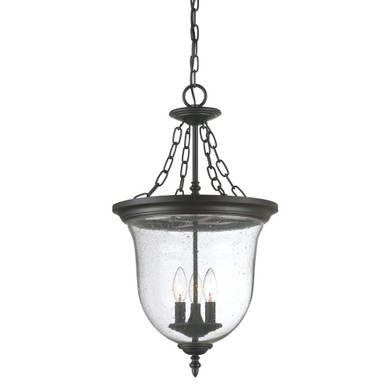 Foyer/Hall Lanterns Glass w/Frame by Acclaim Lighting ( 106 | 9316BK Belle ) 